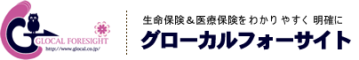 グローカルフォーサイト株式会社