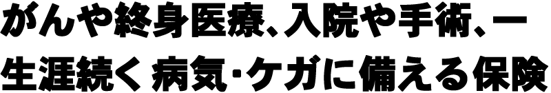 がんや終身医療、入院や手術、一
生涯続く病気・ケガに備える保険